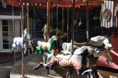 Enlarge photo 7