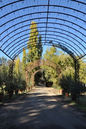 Enlarge photo 22