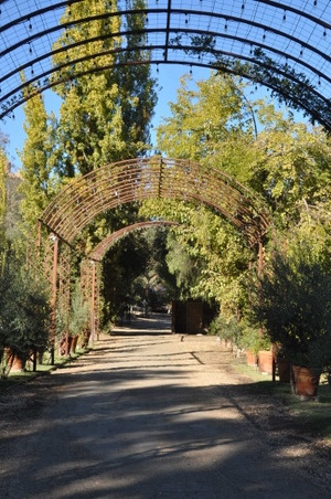 Enlarge photo 23