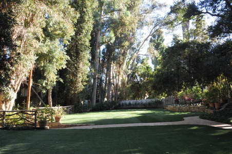 Enlarge photo 30