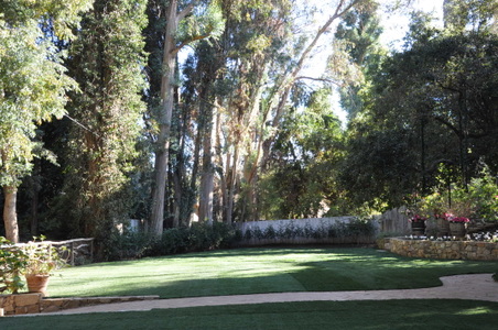 Enlarge photo 32