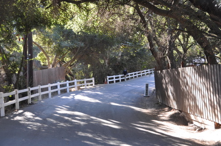 Enlarge photo 34