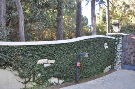 Enlarge photo 37