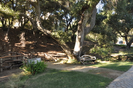 Enlarge photo 45
