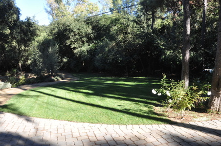 Enlarge photo 46