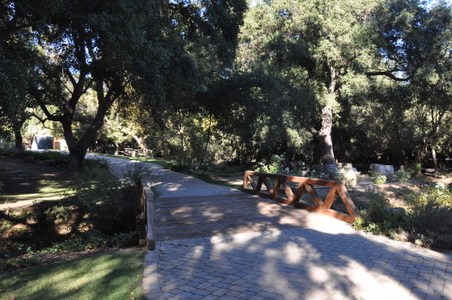 Enlarge photo 48