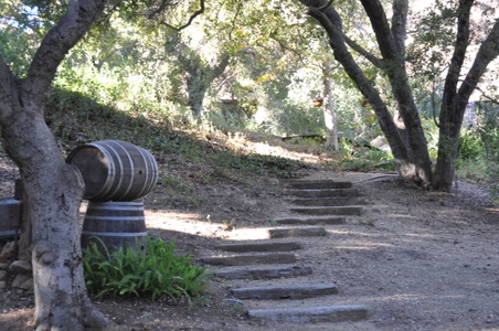 Enlarge photo 51