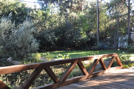 Enlarge photo 54