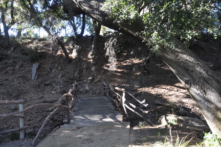 Enlarge photo 55