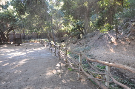 Enlarge photo 56