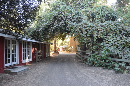 Enlarge photo 61