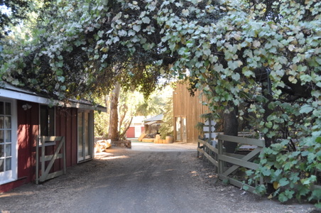 Enlarge photo 62