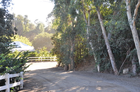 Enlarge photo 65