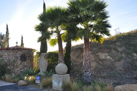 Enlarge photo 7