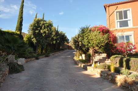 Enlarge photo 21