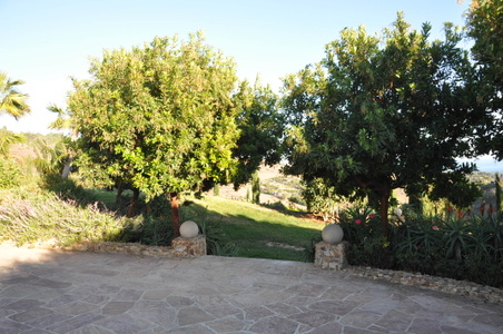 Enlarge photo 24