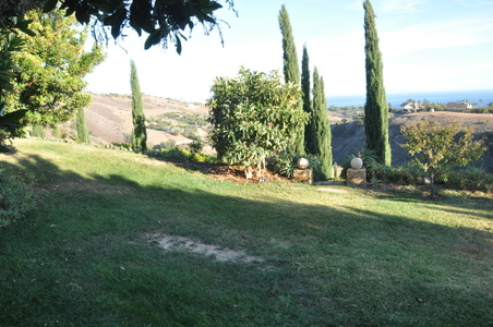 Enlarge photo 26