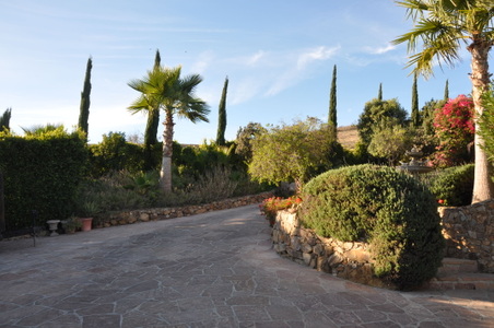 Enlarge photo 27