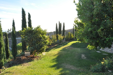 Enlarge photo 32