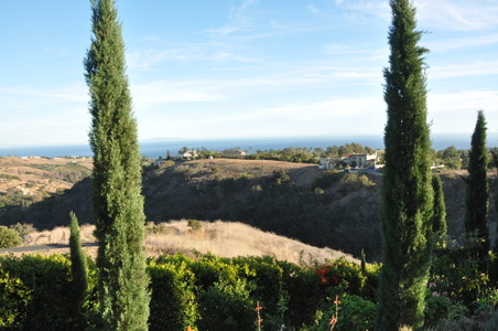 Enlarge photo 33