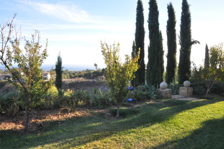 Enlarge photo 35