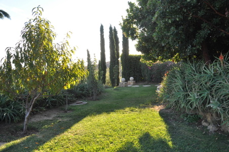 Enlarge photo 36