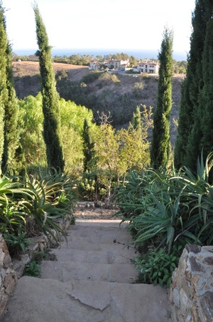 Enlarge photo 37