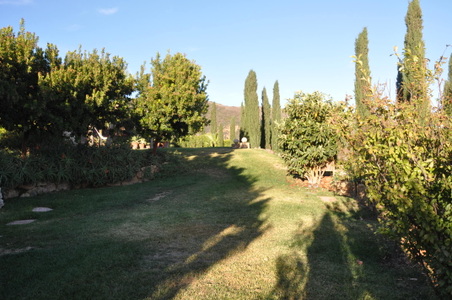 Enlarge photo 38