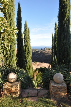 Enlarge photo 40