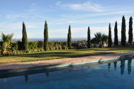 Enlarge photo 46