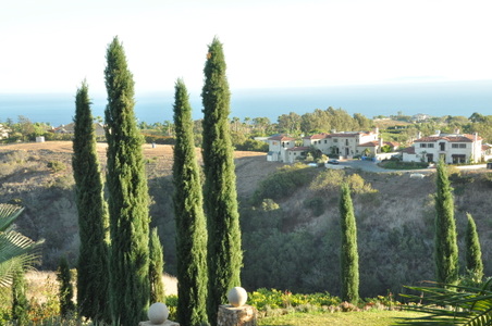 Enlarge photo 50