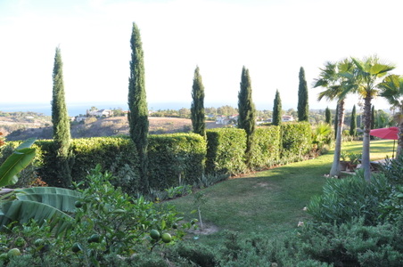 Enlarge photo 52