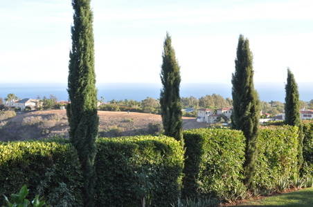 Enlarge photo 53