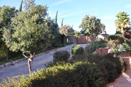 Enlarge photo 69