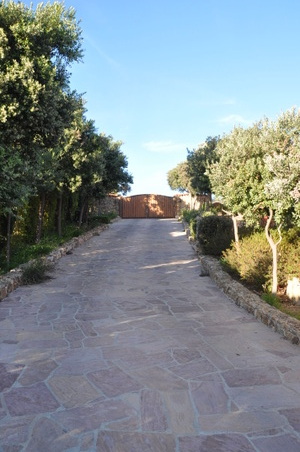 Enlarge photo 71