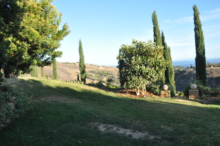 Enlarge photo 76