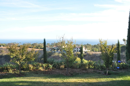 Enlarge photo 78
