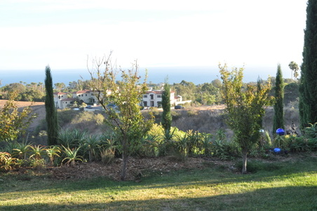 Enlarge photo 79