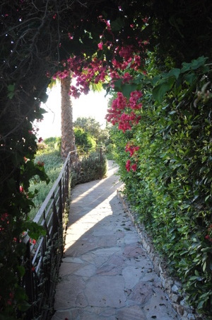 Enlarge photo 83