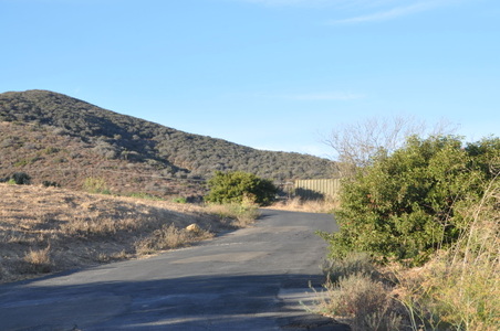 Enlarge photo 86