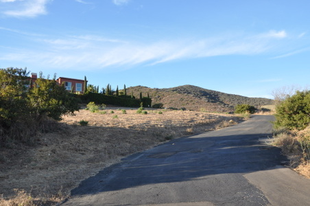 Enlarge photo 87