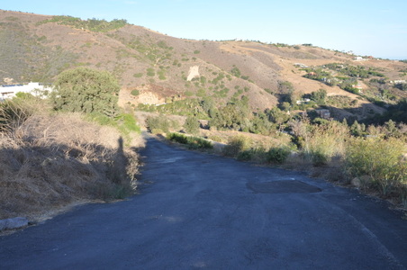 Enlarge photo 88