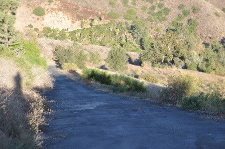 Enlarge photo 89