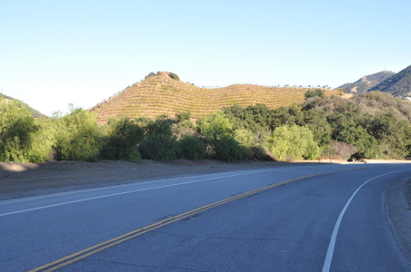 Enlarge photo 10