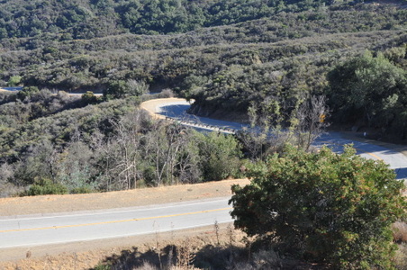 Enlarge photo 16
