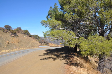 Enlarge photo 18