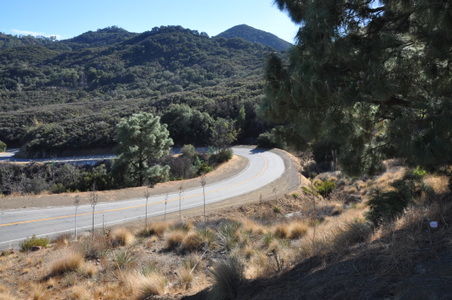 Enlarge photo 20