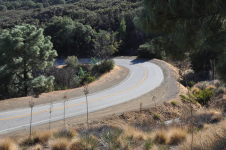 Enlarge photo 21