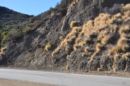 Enlarge photo 22