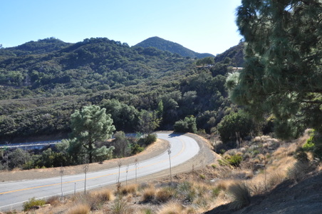 Enlarge photo 23